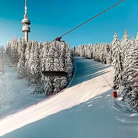 Elitza Pamporovo